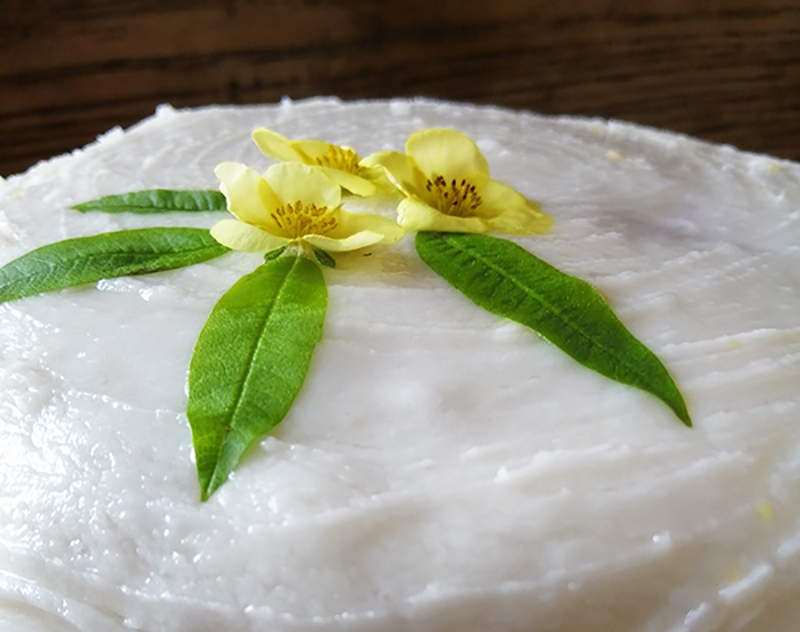 https://chestnutcandle.com/wp-content/uploads/2019/08/Lemon-Vegan-Cake.jpg