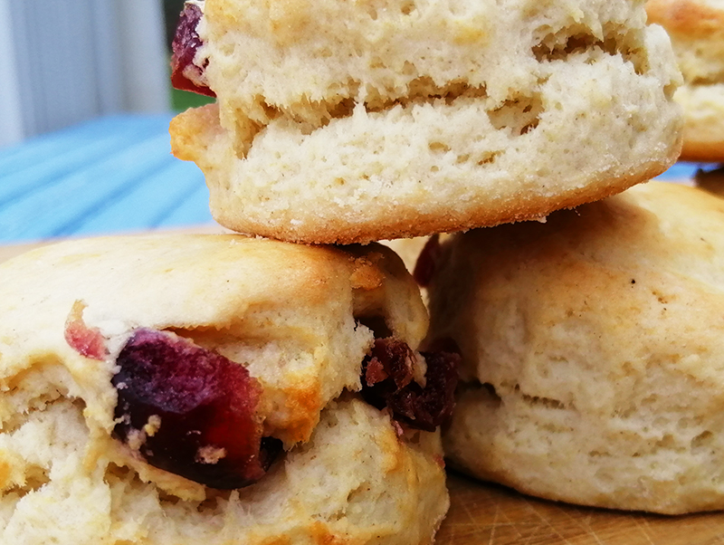 Light Vegan Scones The Chestnut Candle